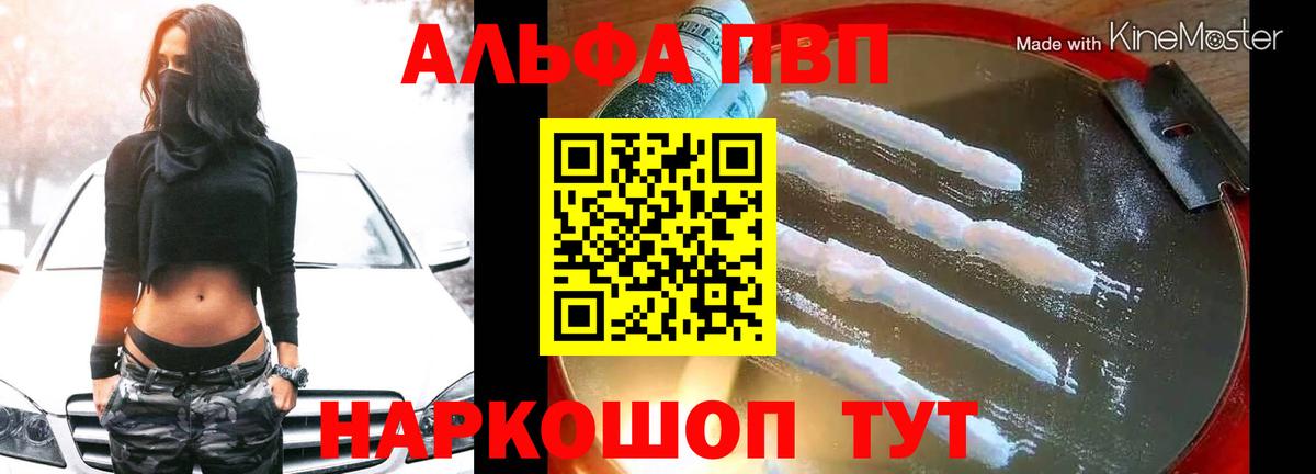 Alfa_PVP СК КРИС Камень-на-Оби