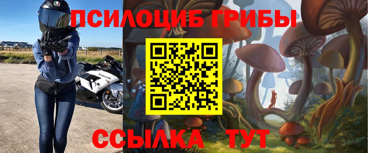 Камень-на-Оби  Галлюциногенные грибы ЛСД  Вход с VPN 